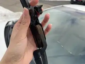 Windshield Wipers