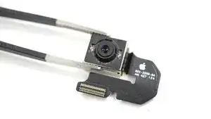 Kijk nu toch eens naar dat gewiebel (filmpje)...