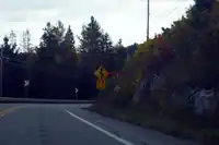 Curvy road warning sign with speed suggestion on Quebec Route 105 in Canada (traffic_sign=hazard + hazard=curves + curves=extended + maxspeed:advisory=75)