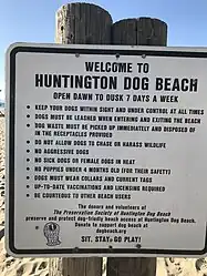 Stati Uniti d'America: min_age:dog=4 months