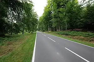 Example of a street with lane_markings=yes + lanes=2