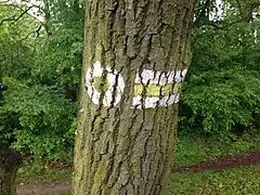 One example for Feature: Walking Routes