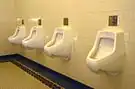 urinal toilet