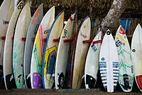 The Surfboards (8422914814)