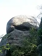 1885717635 1885717635