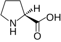 Amminoacido prolina formula.svg
