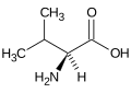 Amminoacido valina formula.svg