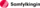 Merki Samfylkingarinnar XS 2018.png