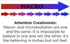 MicroMacroSame.png