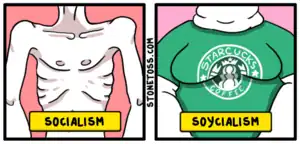 StoneToss-Soycialism.png