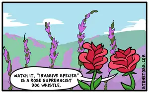 Stonetoss-invasive-species-comic.png
