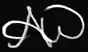 Amy Wilkins signature
