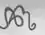 Anna Borowiecka's signature
