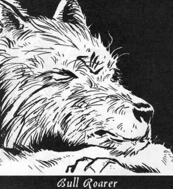BullRoarerProfile