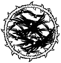 Childer of the Morrigan