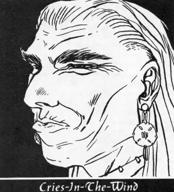 CriesInTheWindProfile