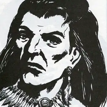 HearstheWildGooseCall