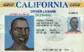 Virgil Crumb's driver's license