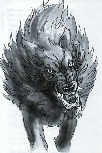 RainFromHeavenHighTBSG