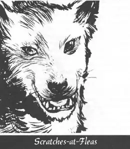 Scratches at fleas