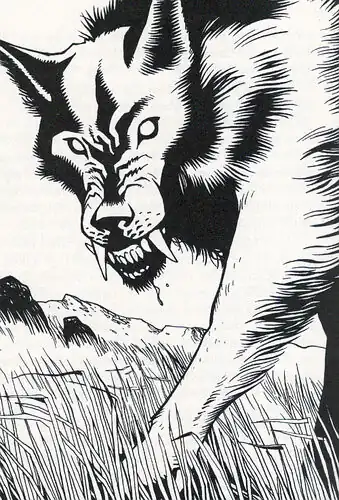 SonofMoonlightFiannaRevised