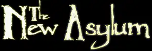 The New Asylum