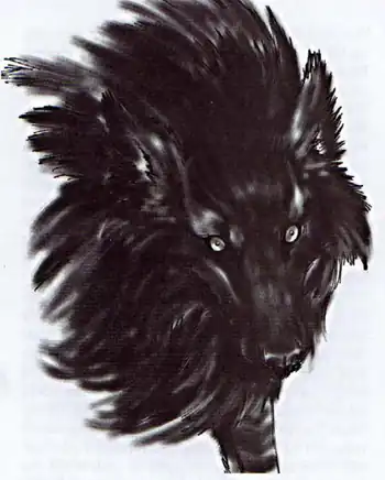 The Black Shuck