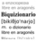Biquizionario