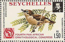 Zosterops modestus